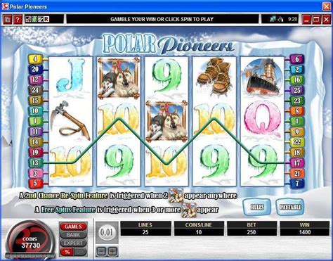 polar pioneers casinos|Polar Pioneers online slot machine derived on the winter theme .